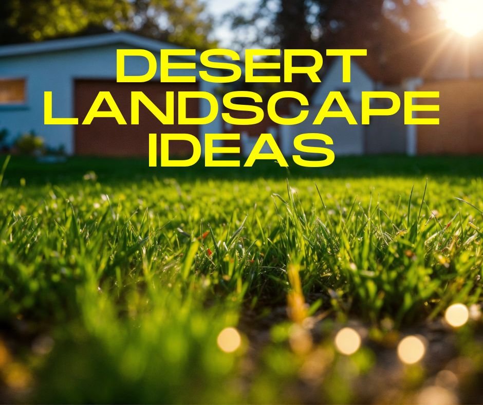 Desert Landscape Ideas 1 - featured