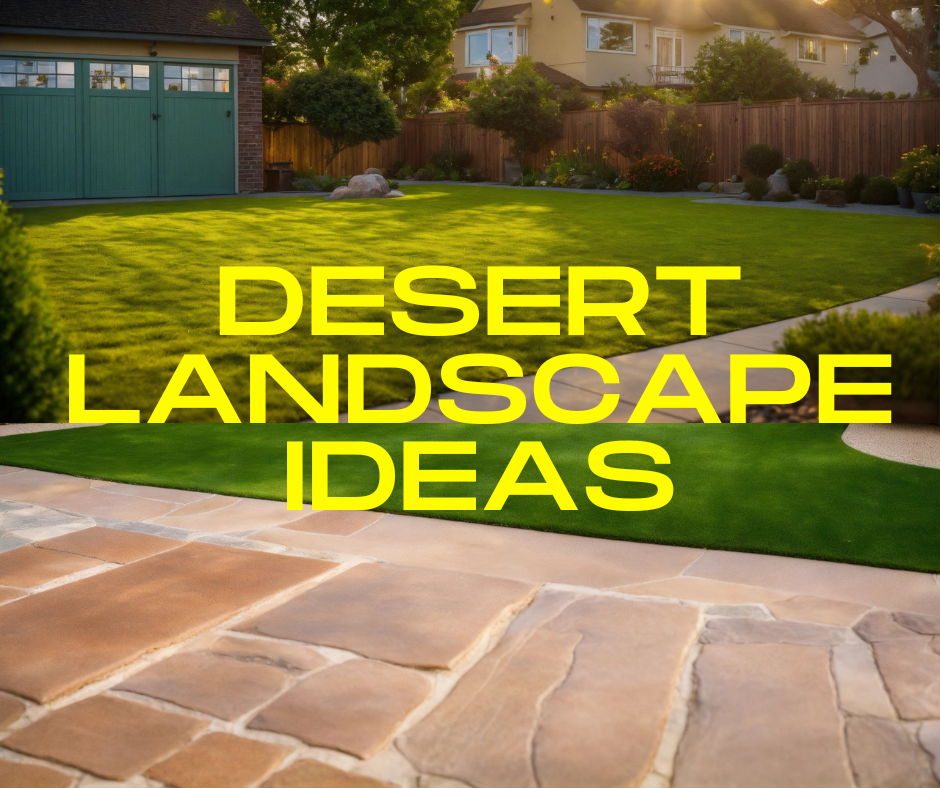 desert landscape ideas
