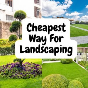 cheapest way for landscaping