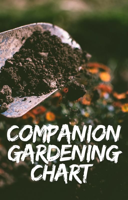 companion gardening chart